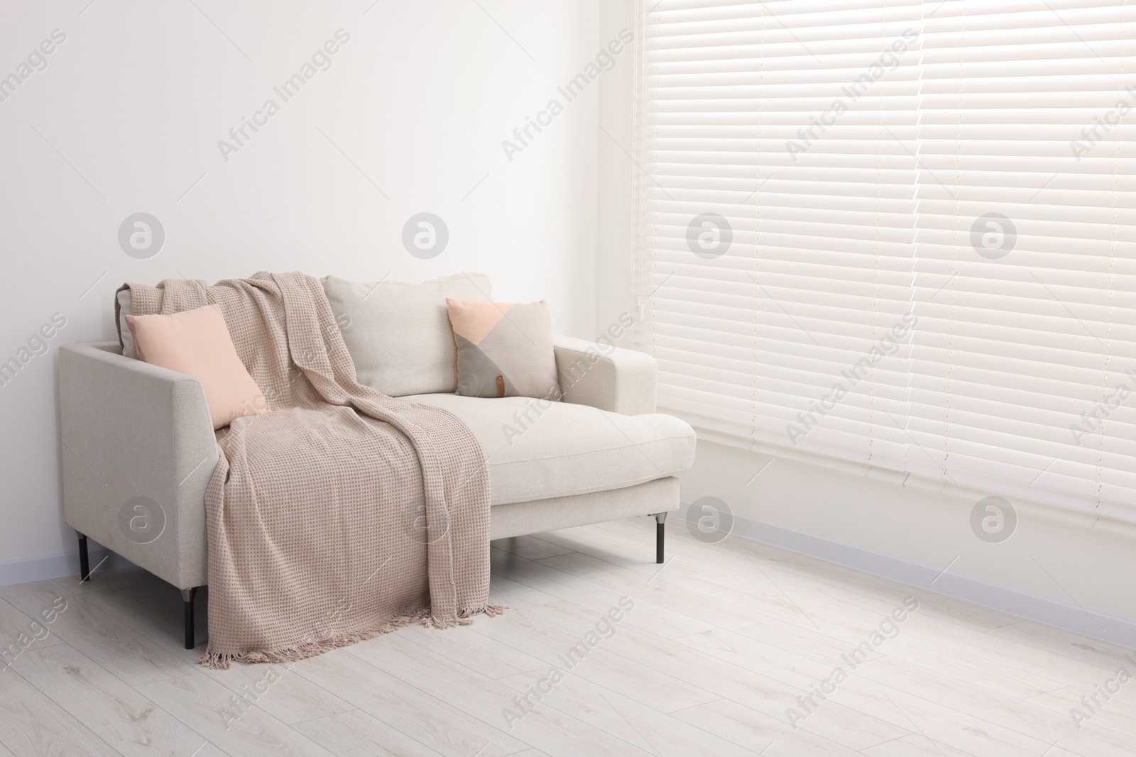 Photo of Cozy sofa with pillows and blanket in living room, space for text. Interior design