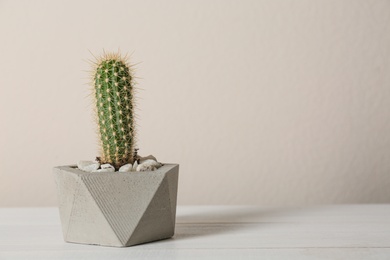 Photo of Beautiful tropical cactus plant in pot on white wooden table, space for text. House decor