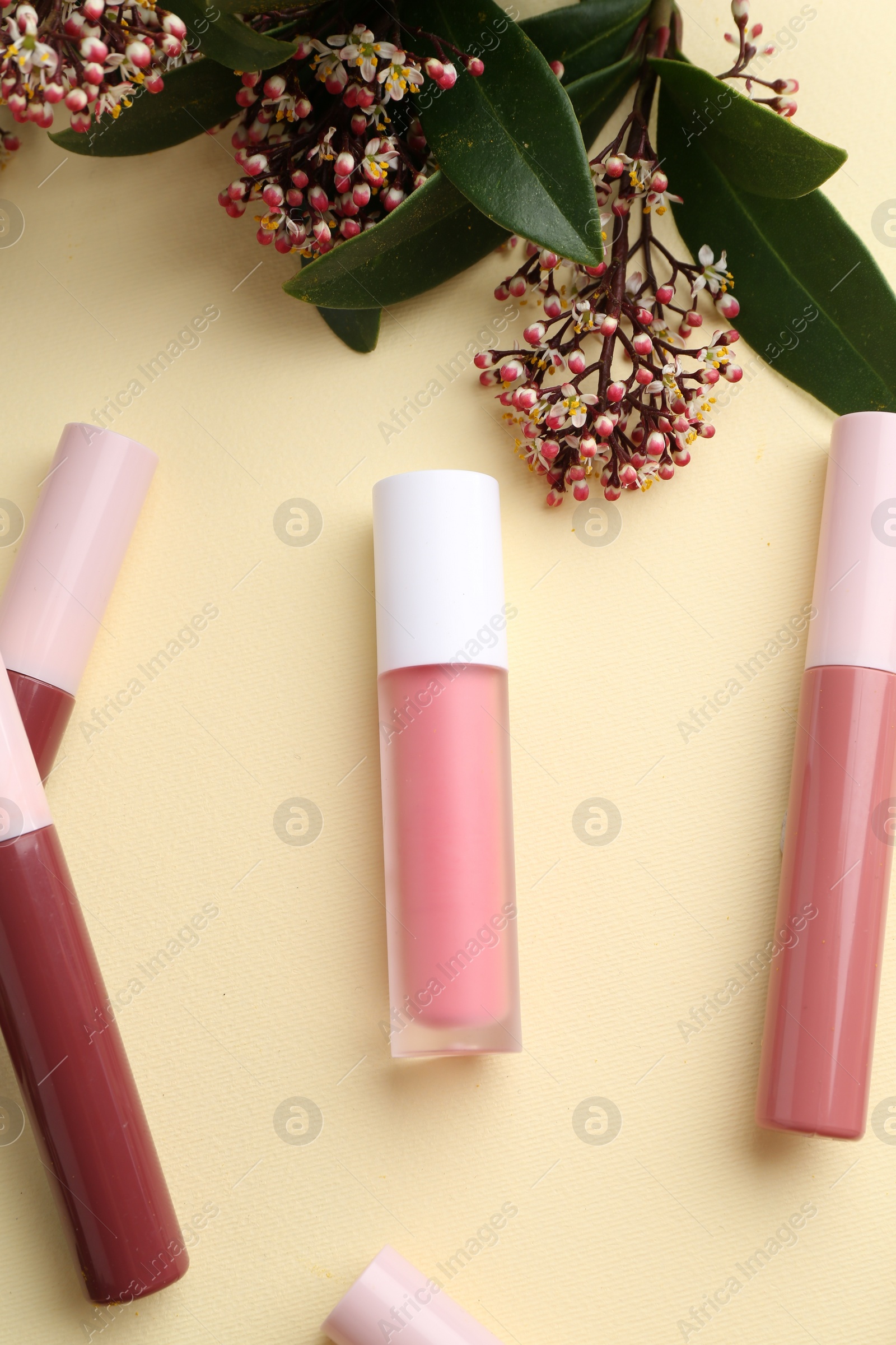 Photo of Different lip glosses and flowers on pale yellow background, flat lay