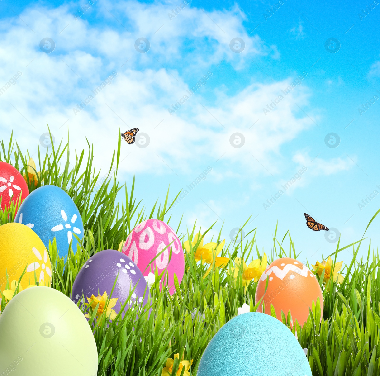 Image of Colorful Easter eggs in green grass and butterflies against blue sky