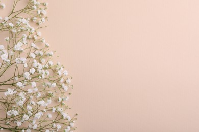 Photo of Beautiful gypsophila flowers on beige background, flat lay. Space for text