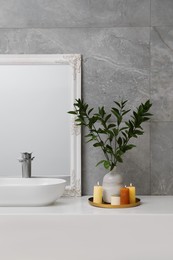 Photo of Beautiful plant in vase and burning candles near vessel sink and mirror on bathroom vanity