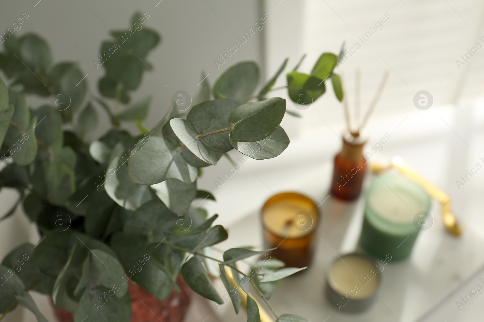Photo of Eucalyptus branches, aromatic reed air freshener and candles on white table indoors, closeup. Interior element
