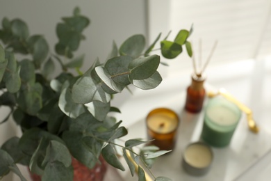 Eucalyptus branches, aromatic reed air freshener and candles on white table indoors, closeup. Interior element