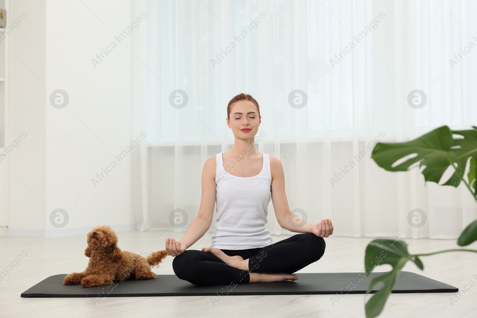 Photo of Young woman practicing yoga on mat with her cute dog indoors