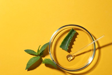 Petri dish and plants on yellow background, flat lay. Space for text