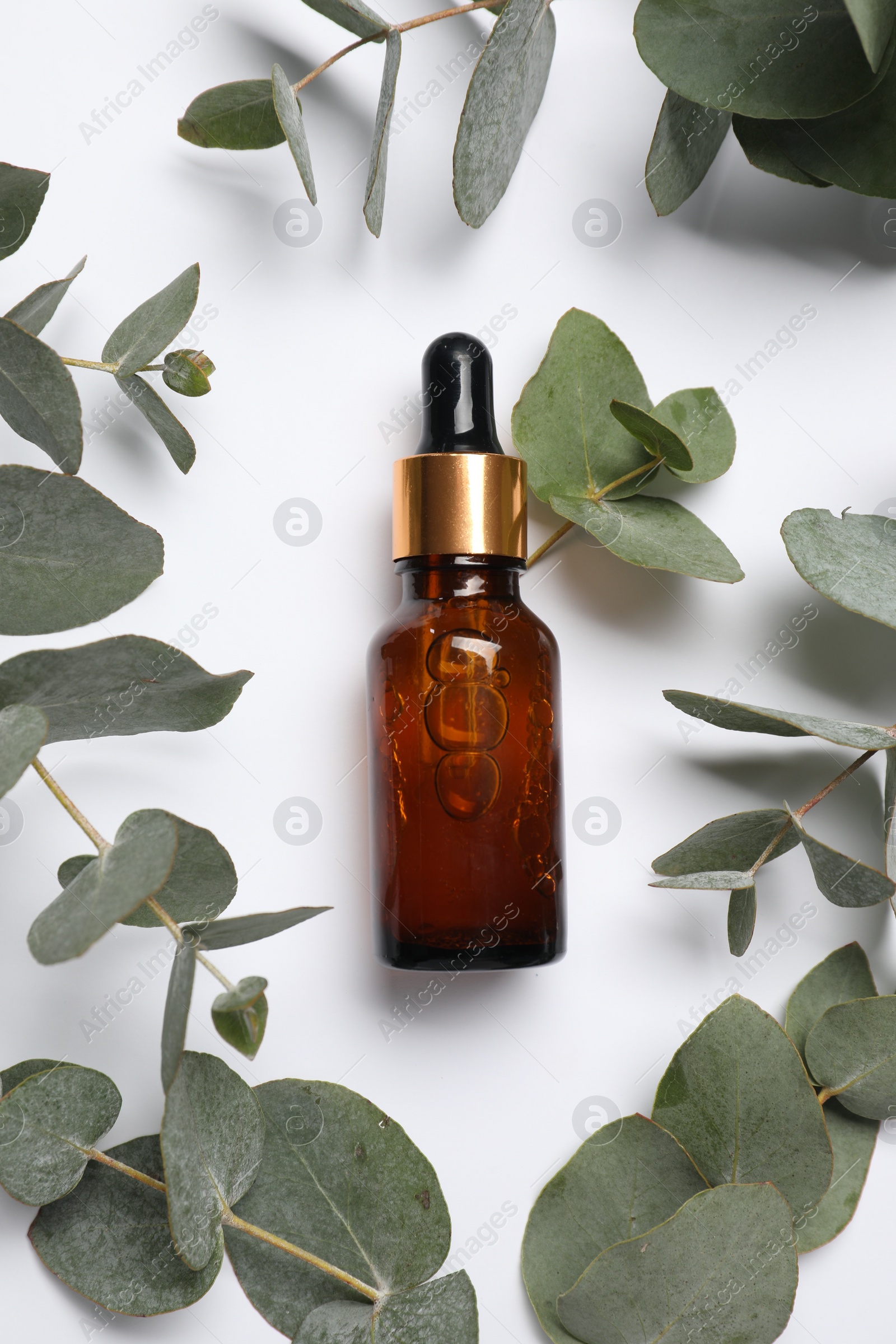 Photo of Aromatherapy product. Bottle of essential oil and eucalyptus leaves on white background, flat lay