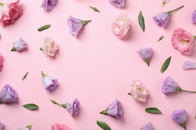 Flat lay composition with beautiful Eustoma flowers on pink background, space for text