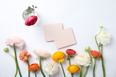 Photo of Flat lay composition with spring ranunculus flowers and cards on white background. Space for text
