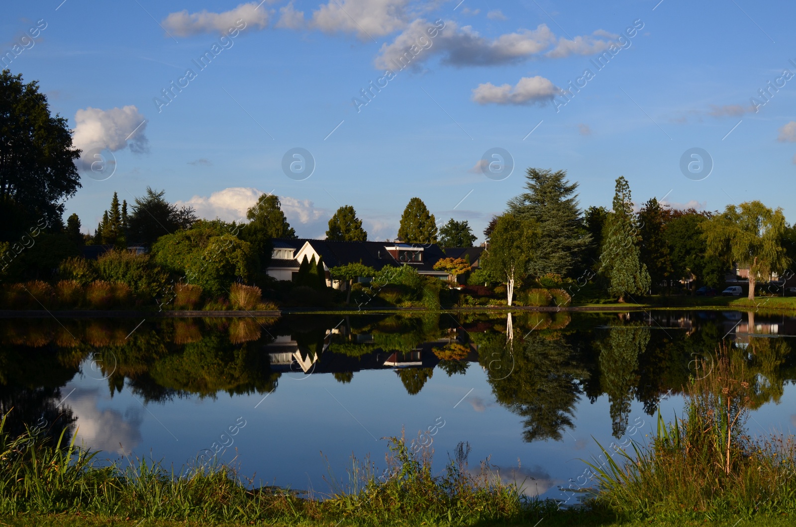 Photo of Picturesque view of pond and beautiful estate