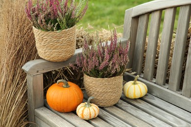 Photo of Beautiful heather flowers in pots and pumpkins on wooden bench outdoors, space for text