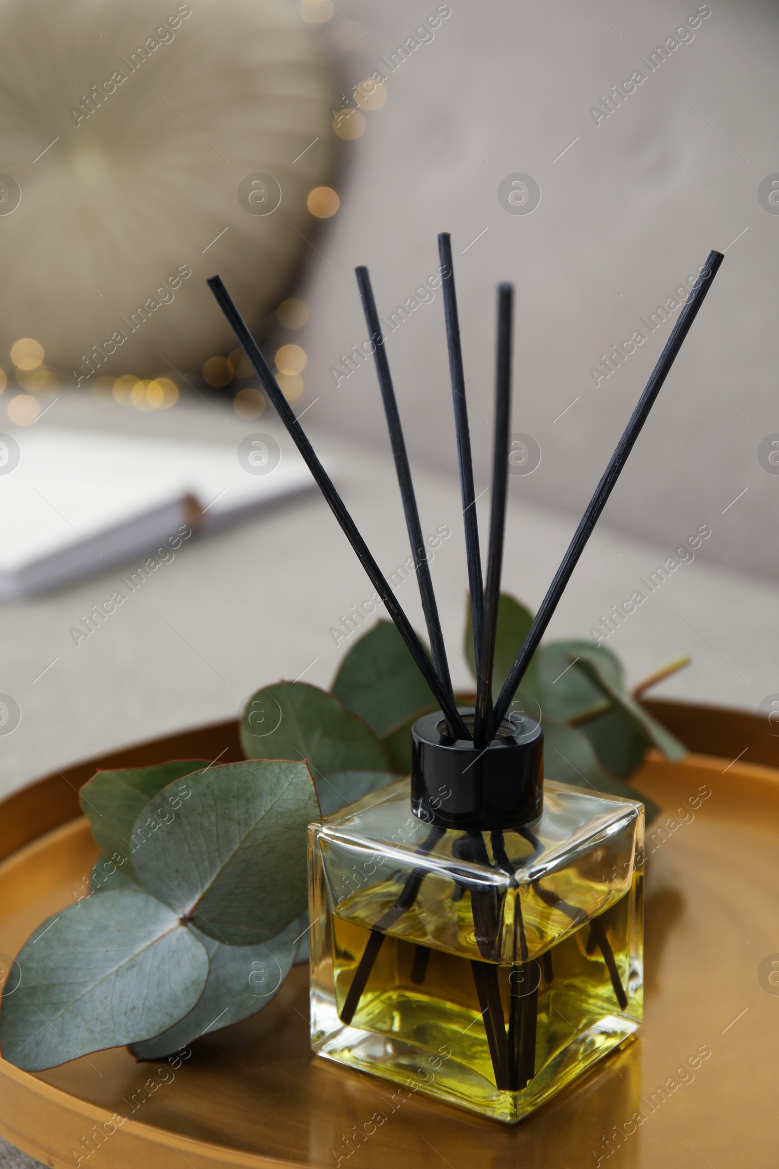 Photo of Aromatic reed air freshener and eucalyptus branch on tray in living room