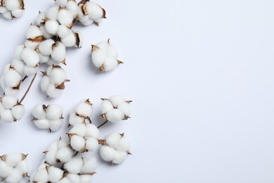 Photo of Branches with cotton flowers on white background, top view. Space for text