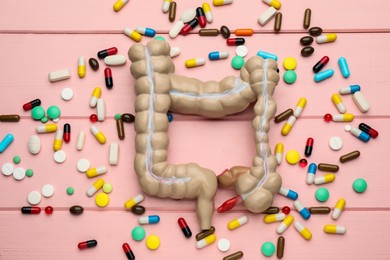 Anatomical model of large intestine and pills on pink wooden background, flat lay