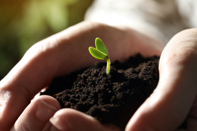 Photo of Woman holding soil with little green seedling, closeup