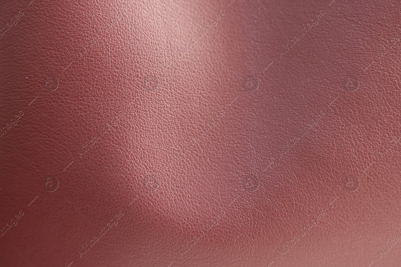 Photo of Texture of leather as background, closeup view