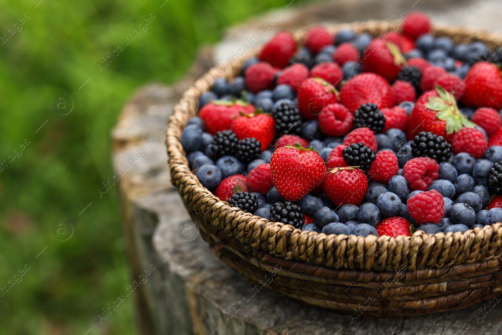 Photo of Wicker bowl with different fresh ripe berries on wooden surface outdoors, space for text