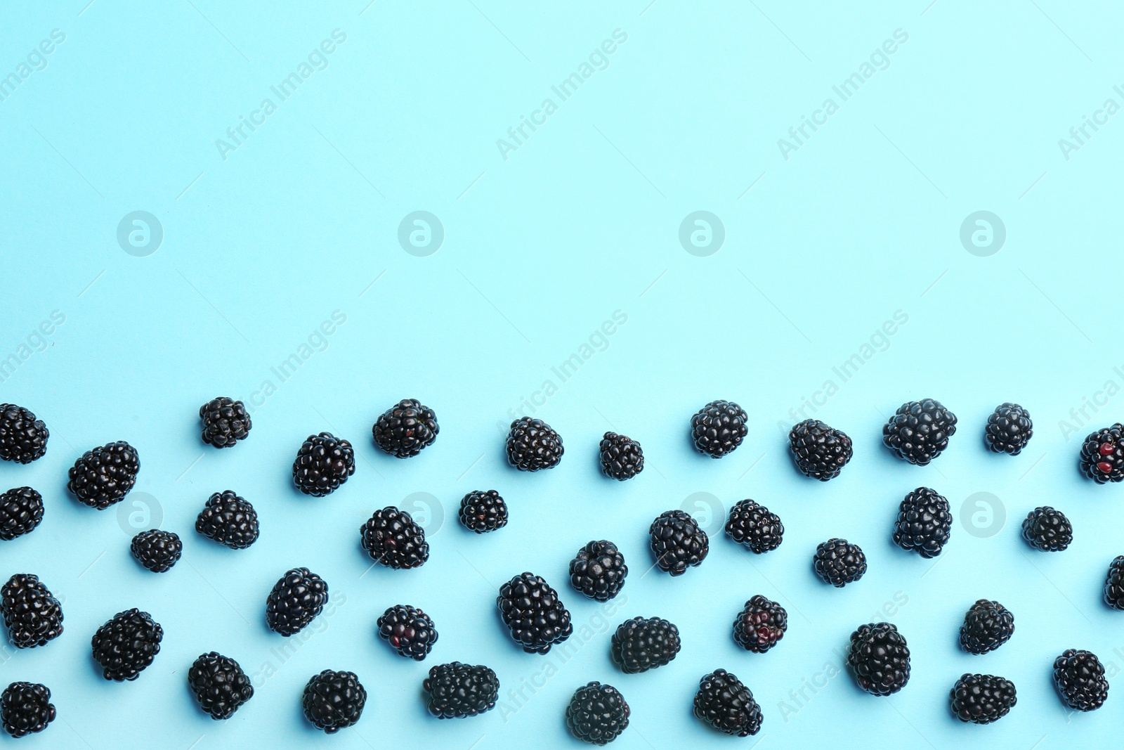 Photo of Fresh ripe blackberries on blue background, flat lay. Space for text