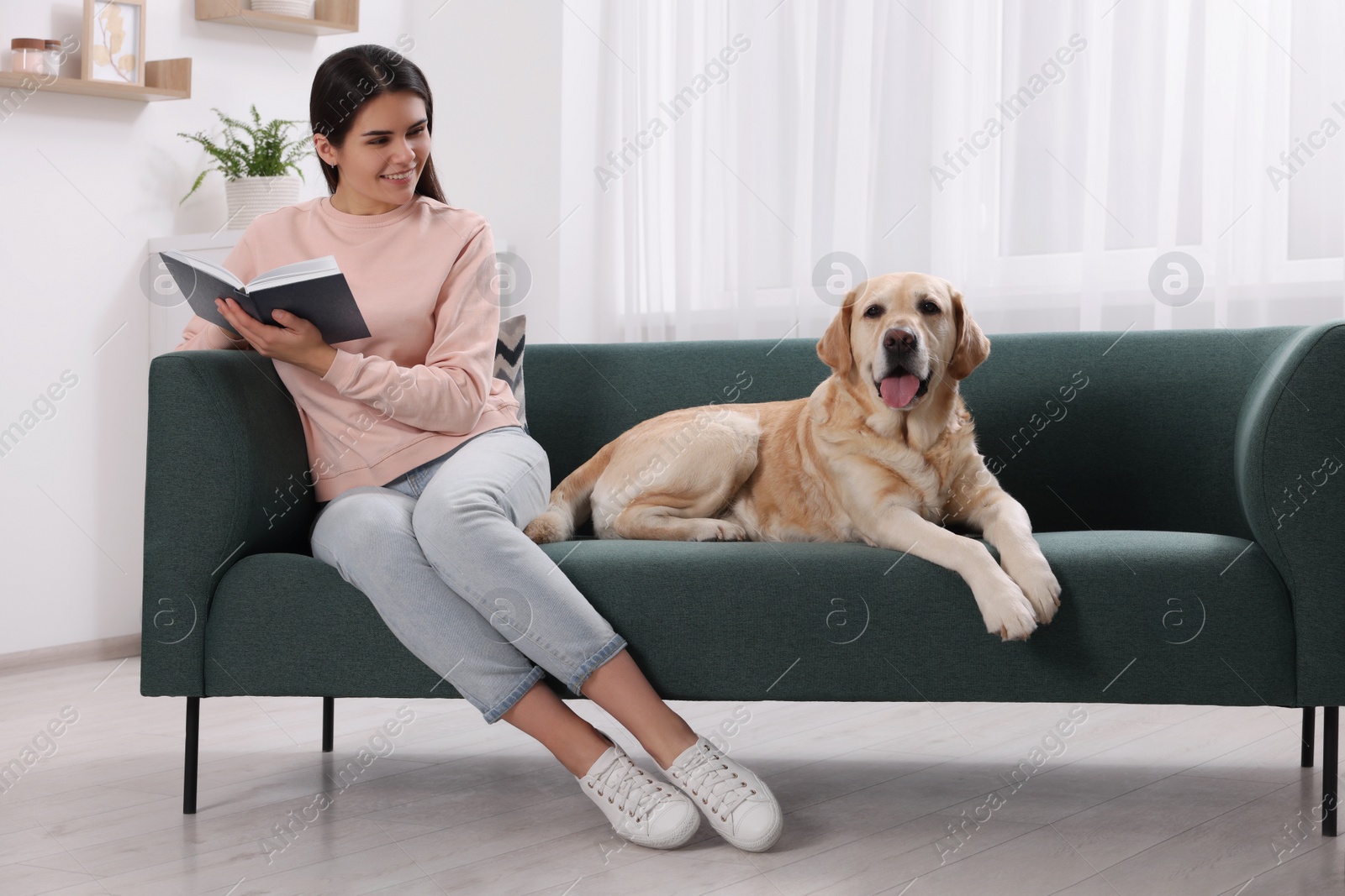 Photo of Happy woman sitting with cute Labrador Retriever on sofa at home