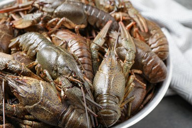 Photo of Fresh raw crayfishes in bowl, closeup. Healthy seafood