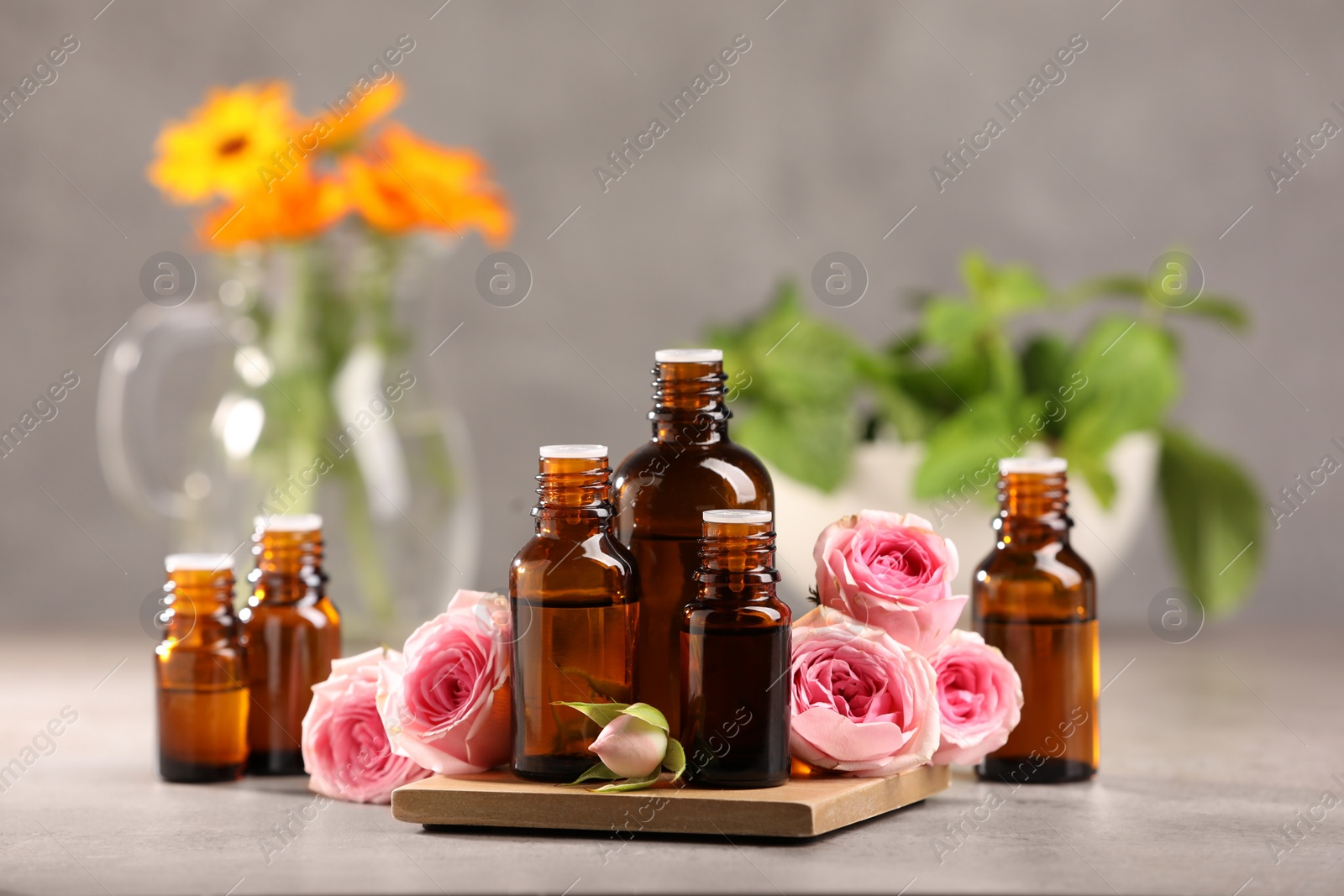 Photo of Bottles with essential oil and roses on light table. Space for text