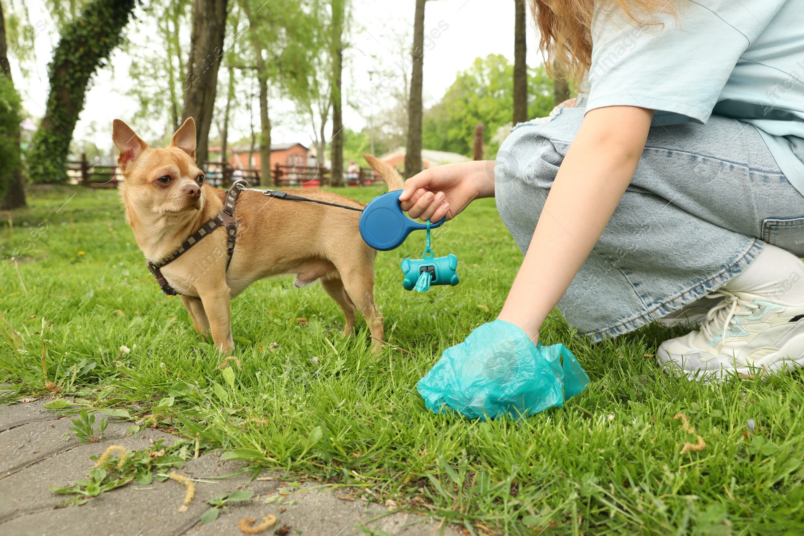 Photo of Woman picking up her dog's poop from green grass in park, closeup