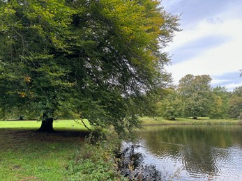 Photo of Beautiful pond and trees in autumn park