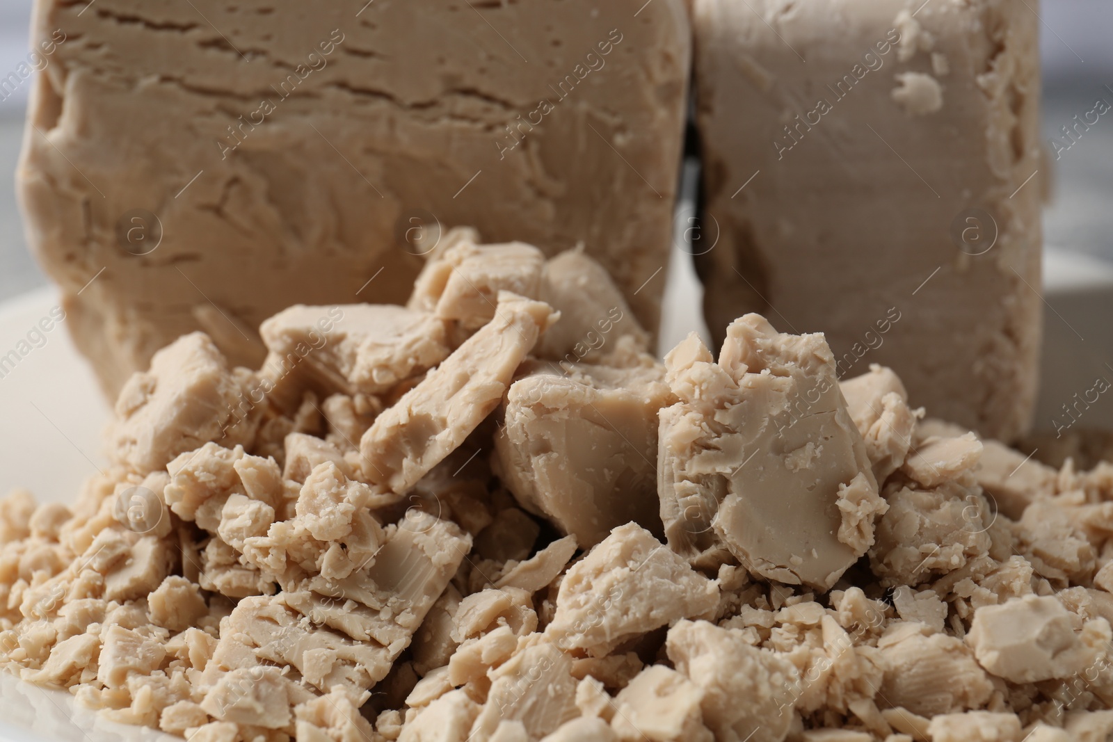 Photo of Closeup view of compressed yeast on white plate