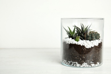 Photo of Glass florarium with different succulents on wooden table against white background, space for text