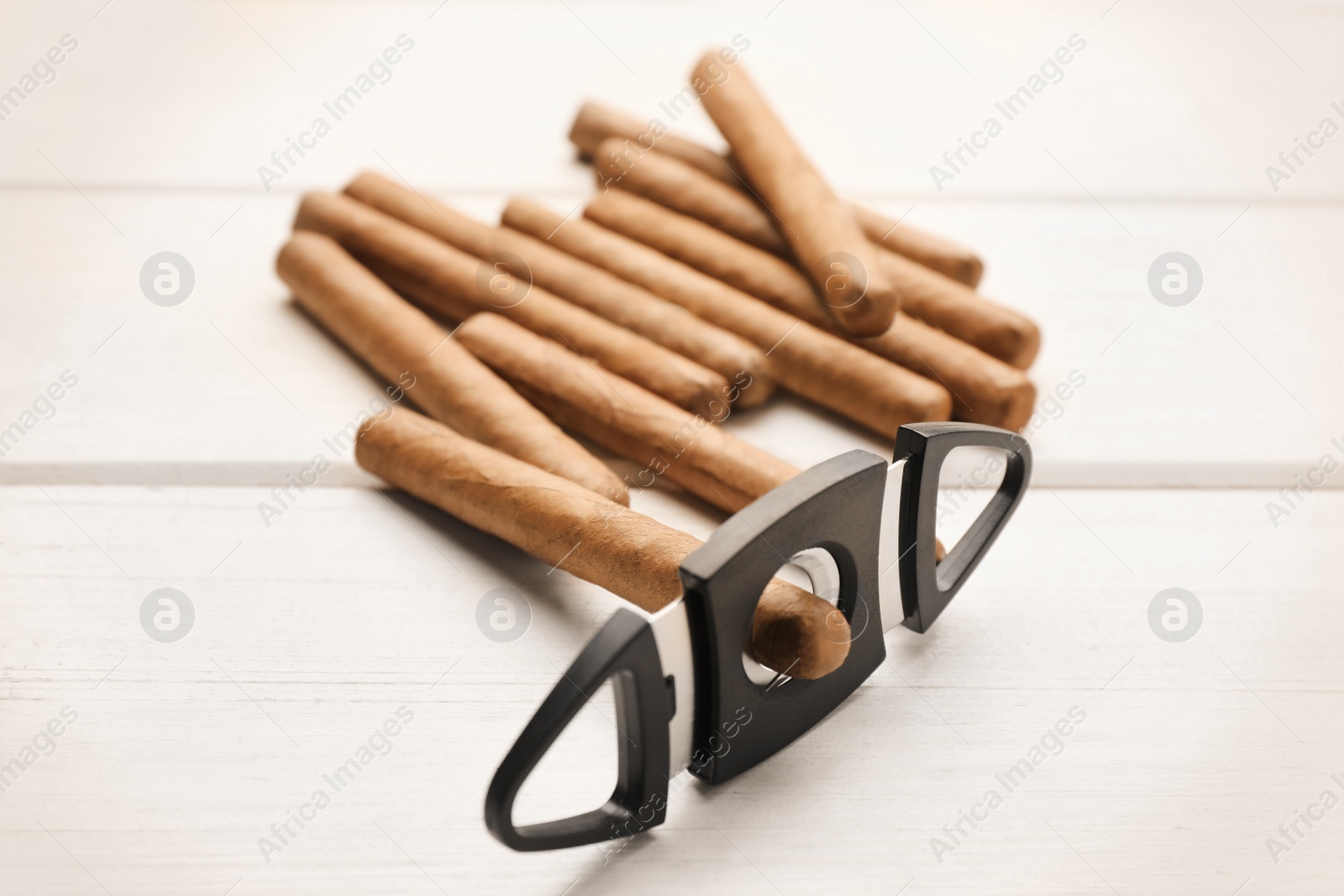Photo of Many cigars and guillotine cutter on white wooden table