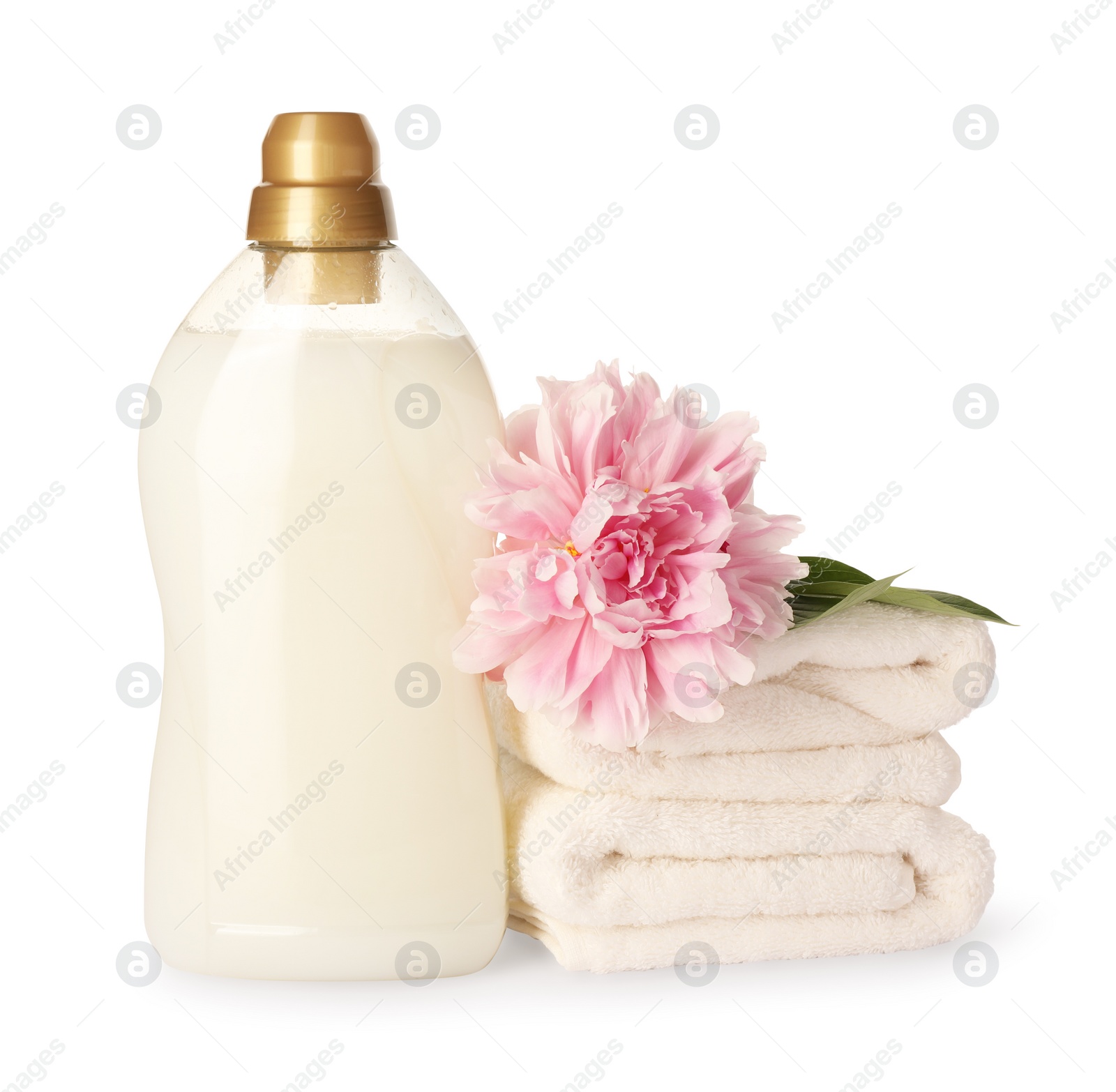 Photo of Bottle of fabric softener, stacked clean towels and beautiful flower isolated on white