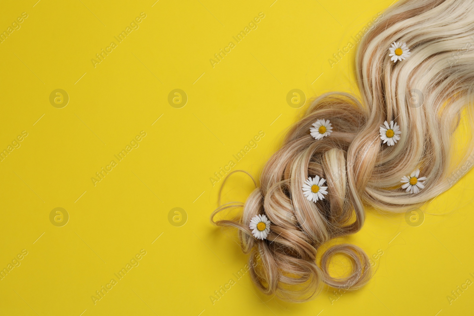 Photo of Lock of healthy blond hair with flowers on yellow background, top view. Space for text