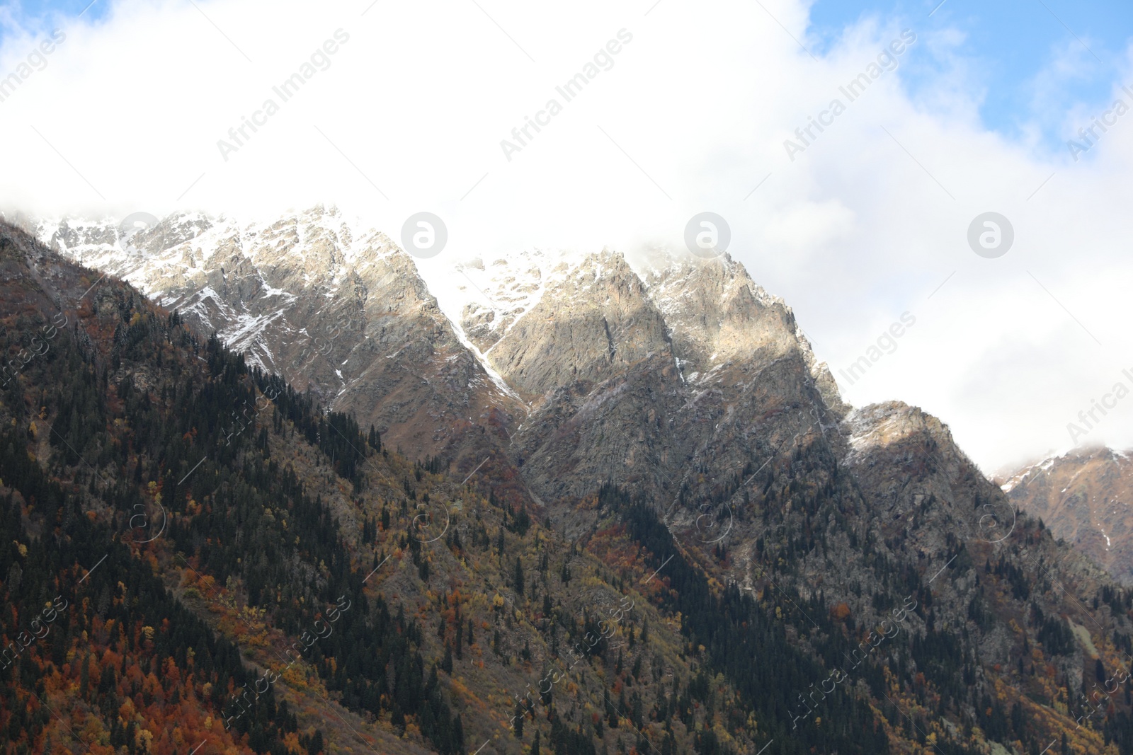 Photo of Picturesque landscape of high mountains with forest under cloudy sky