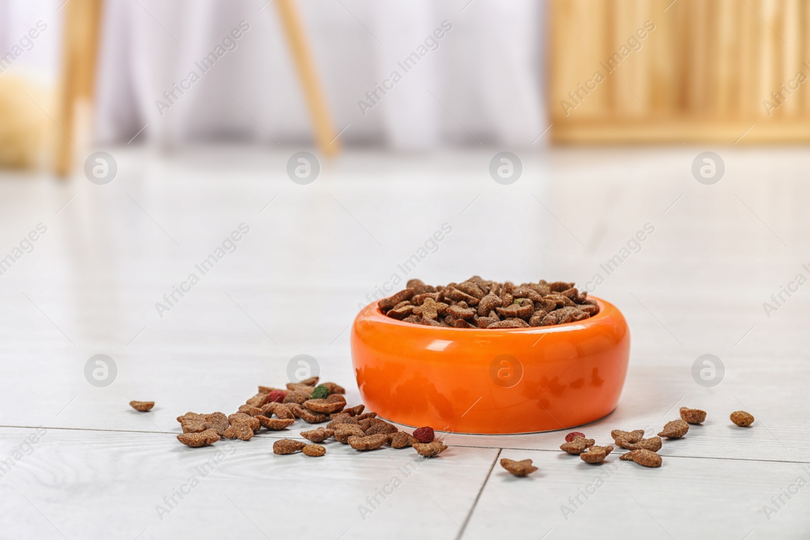 Photo of Bowl with food for cat or dog on floor. Pet care