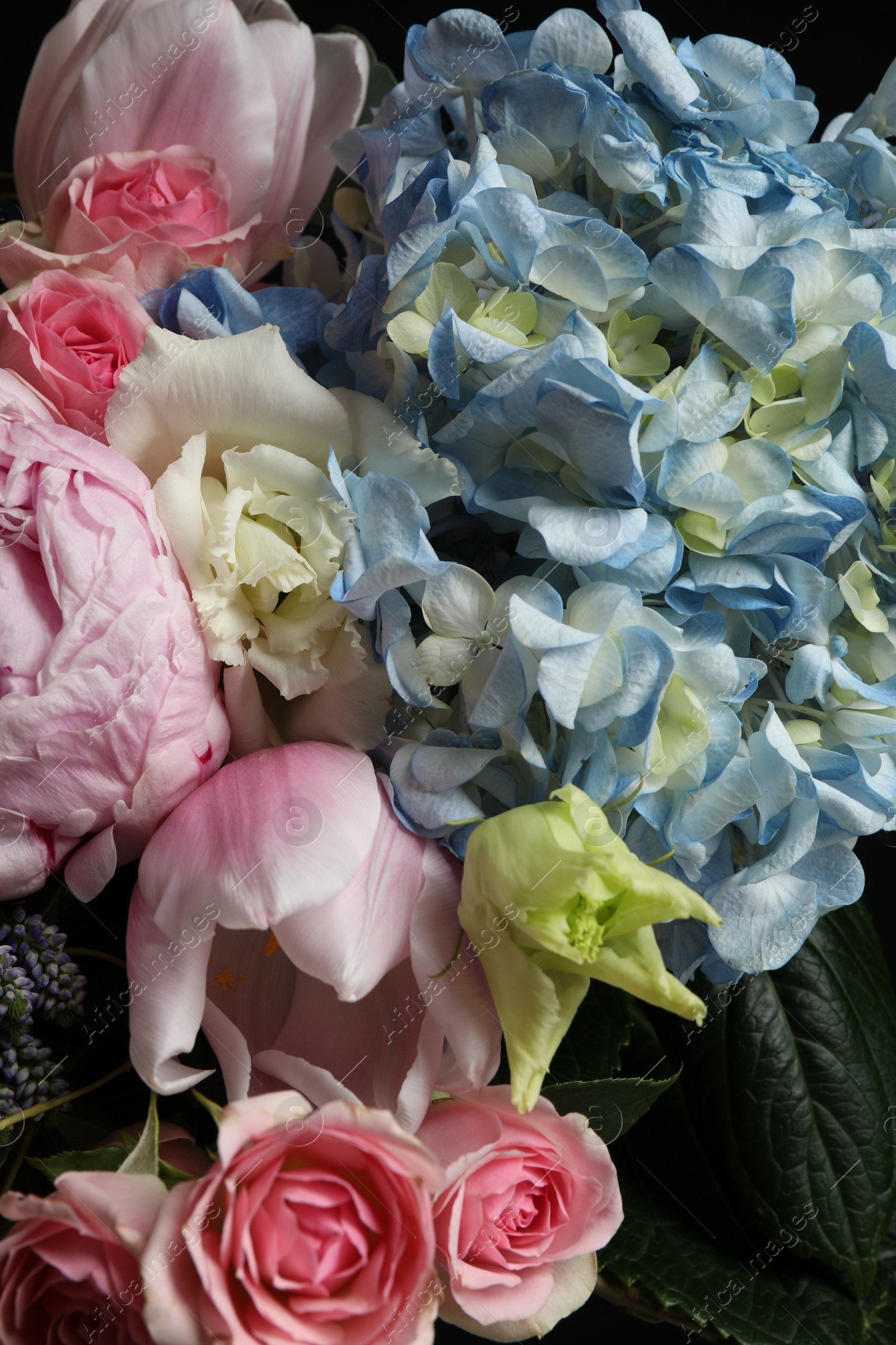 Photo of Beautiful fresh flowers on dark background, closeup