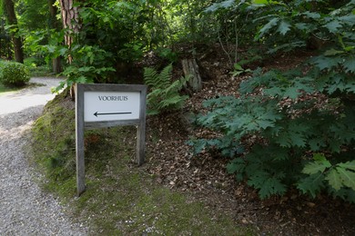 Photo of Beautiful plants and sign near pathway in forest