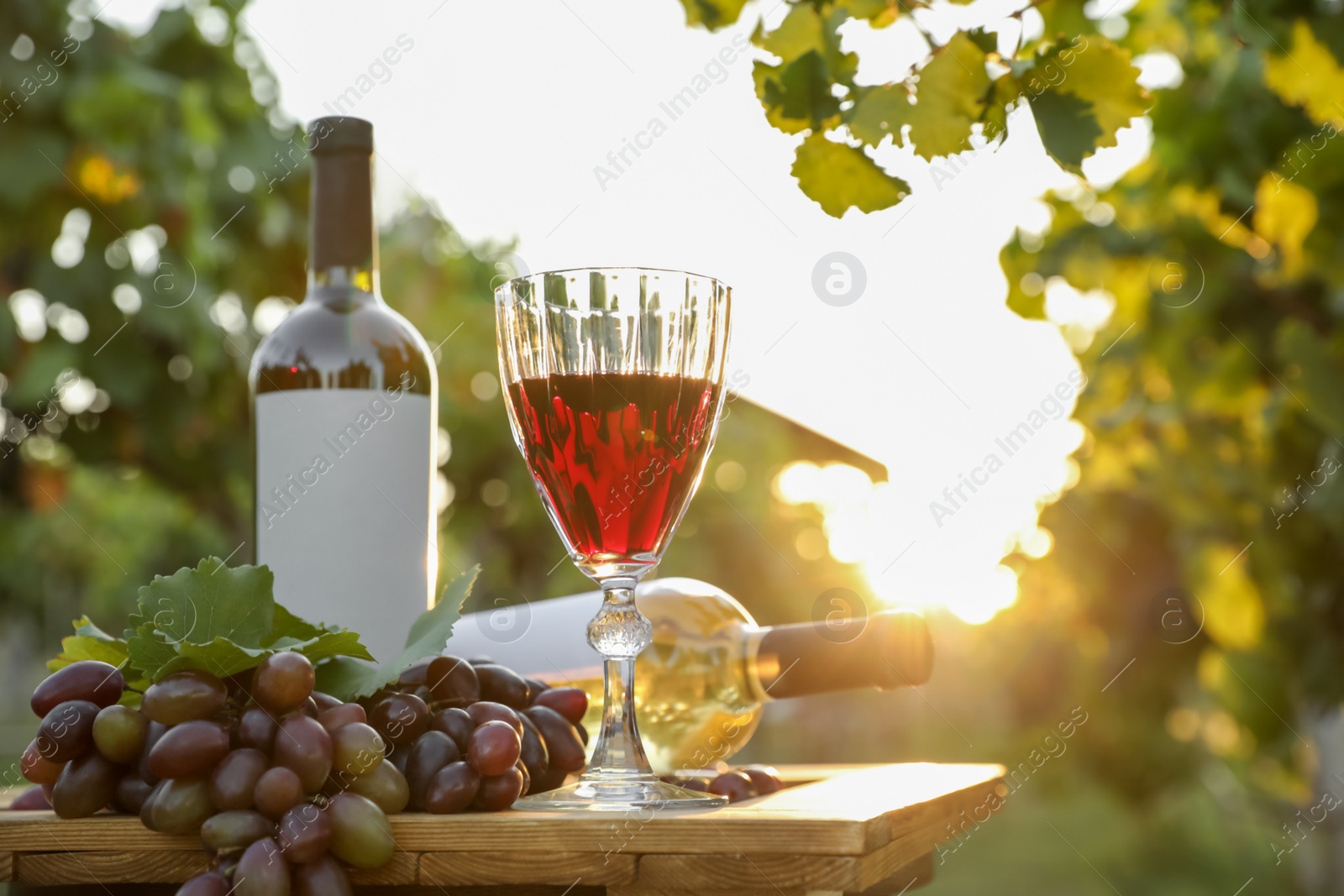 Photo of Composition with wine and ripe grapes on wooden table in vineyard