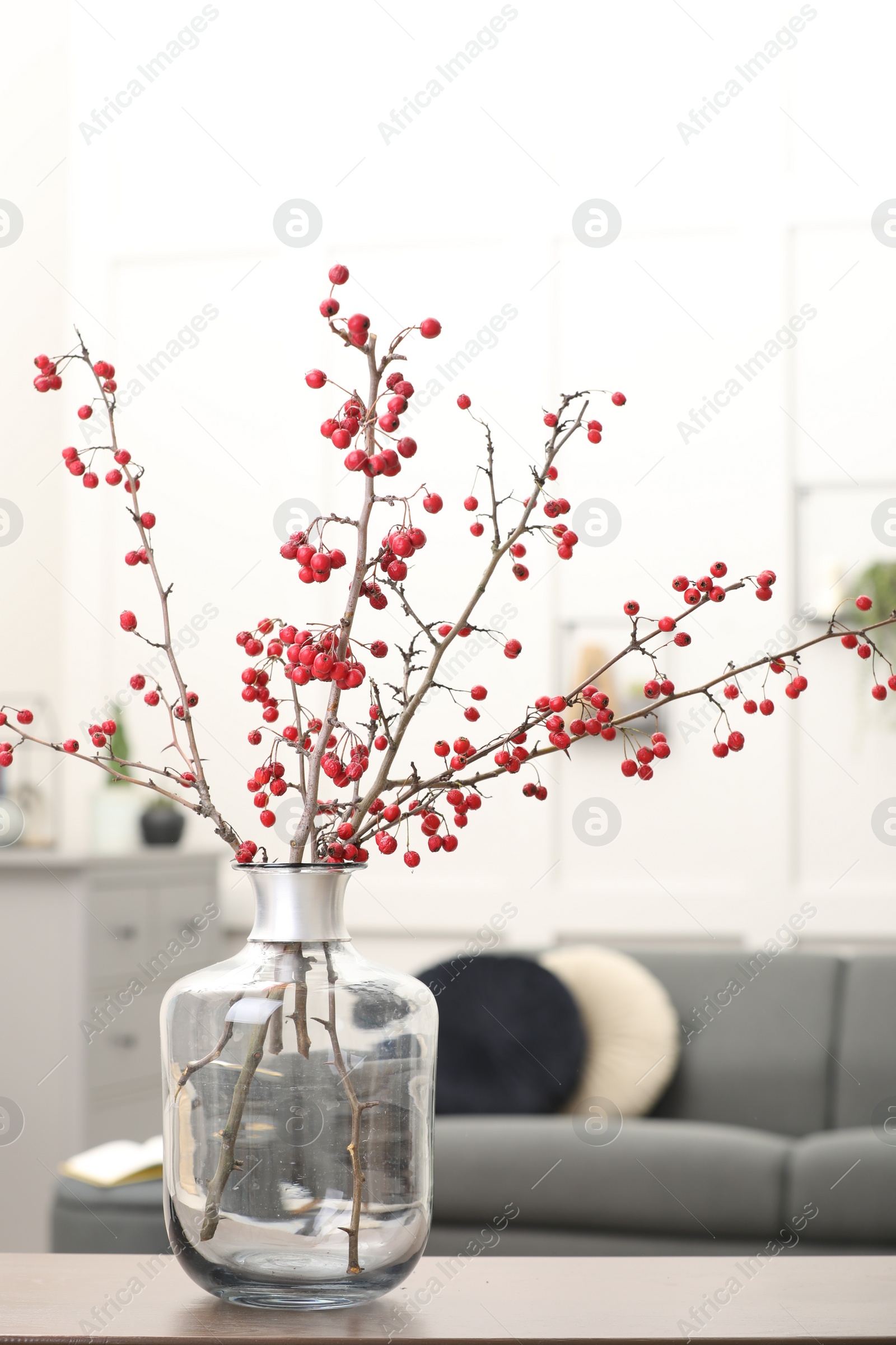 Photo of Hawthorn branches with red berries on table in living room