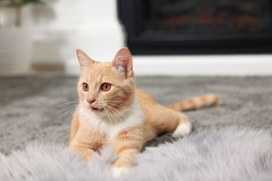 Photo of Cute ginger cat lying on grey carpet at home