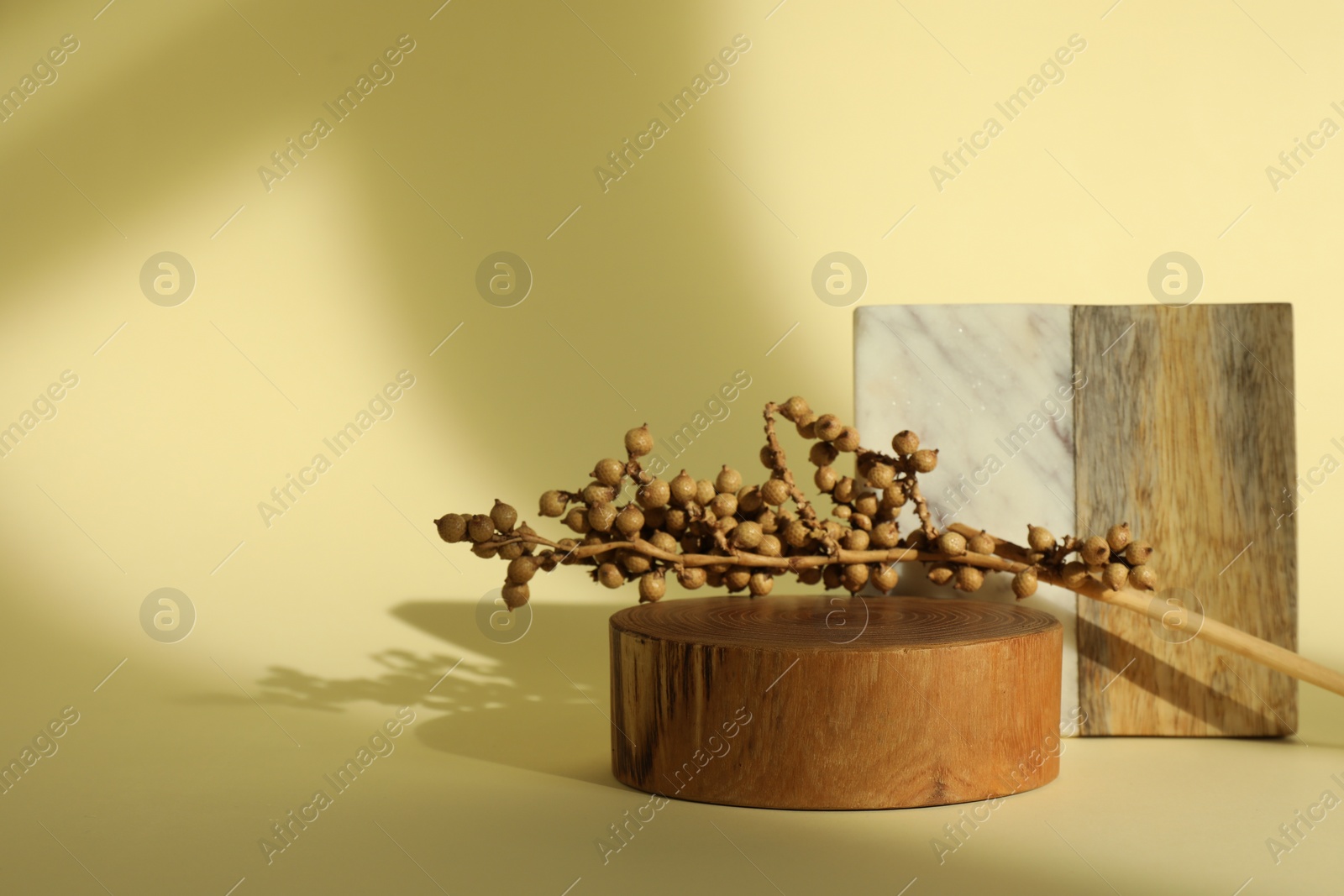 Photo of Presentation of product. Podiums and beautiful branch on yellow background. Space for text