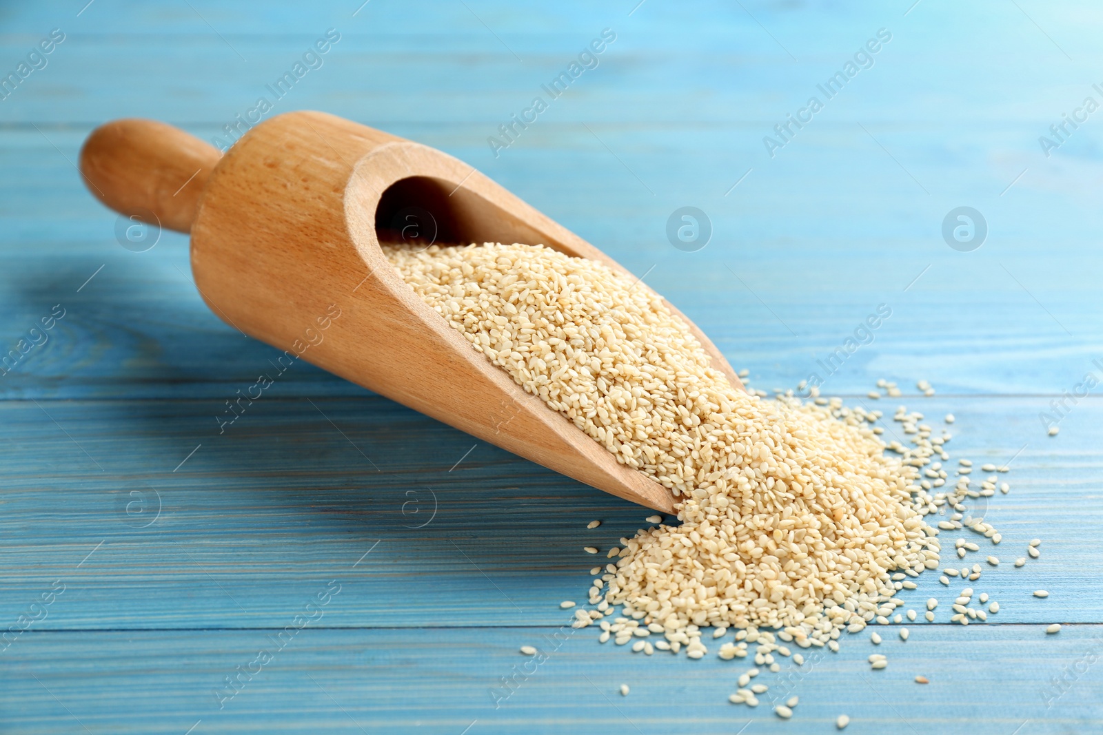 Photo of White sesame seeds on light blue wooden table