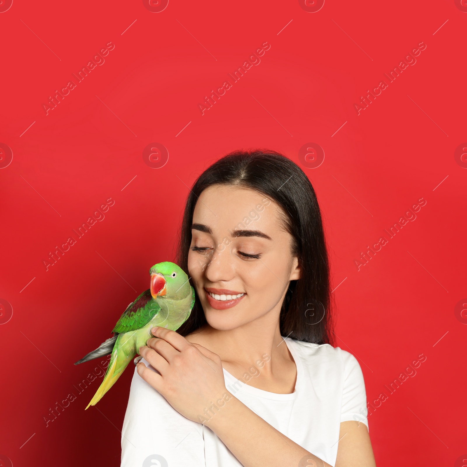 Photo of Young woman with Alexandrine parakeet on red background. Cute pet