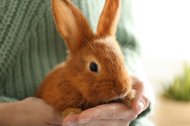 Young woman with adorable rabbit indoors, closeup. Lovely pet