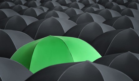 Image of Green umbrella standing out of other ones 