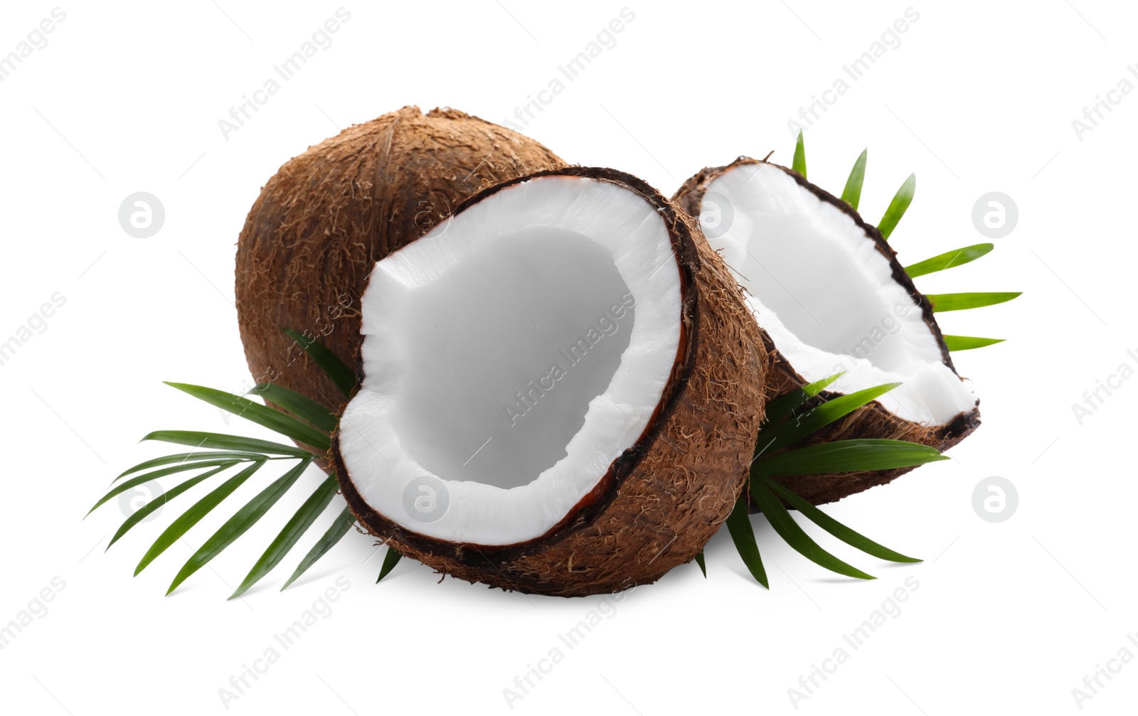 Photo of Fresh ripe coconuts with green leaves on white background