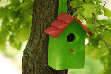 Green bird house on tree trunk outdoors