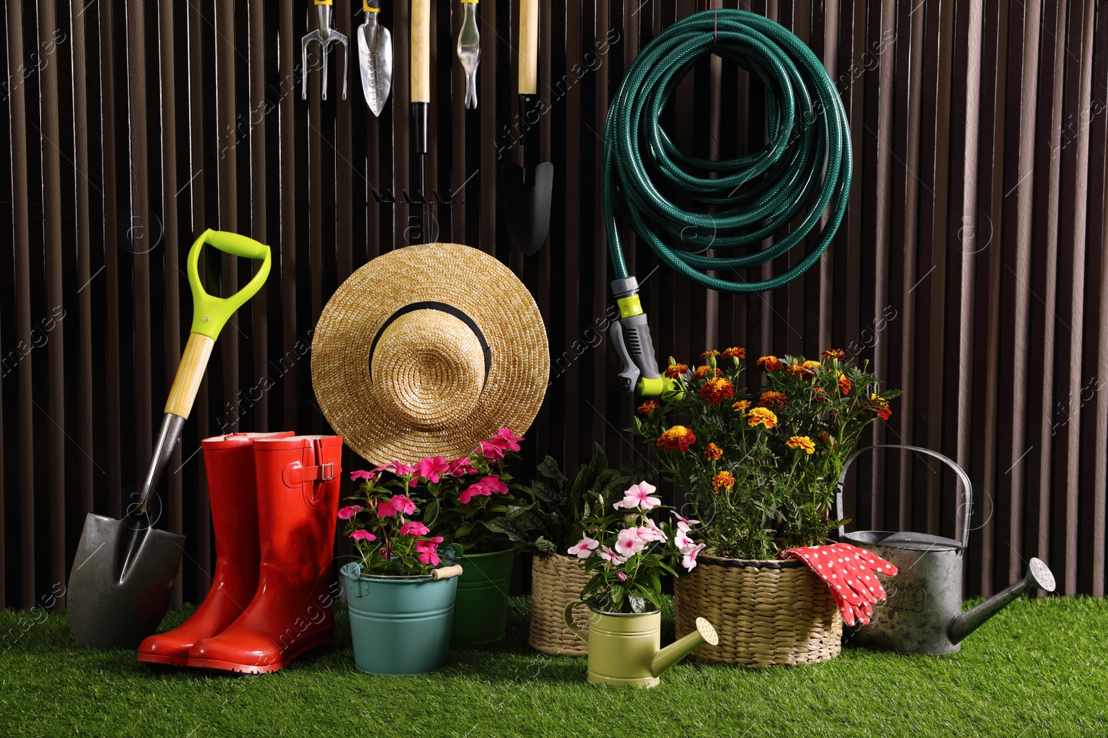 Photo of Beautiful plants, gardening tools and accessories on green grass near wood slat wall