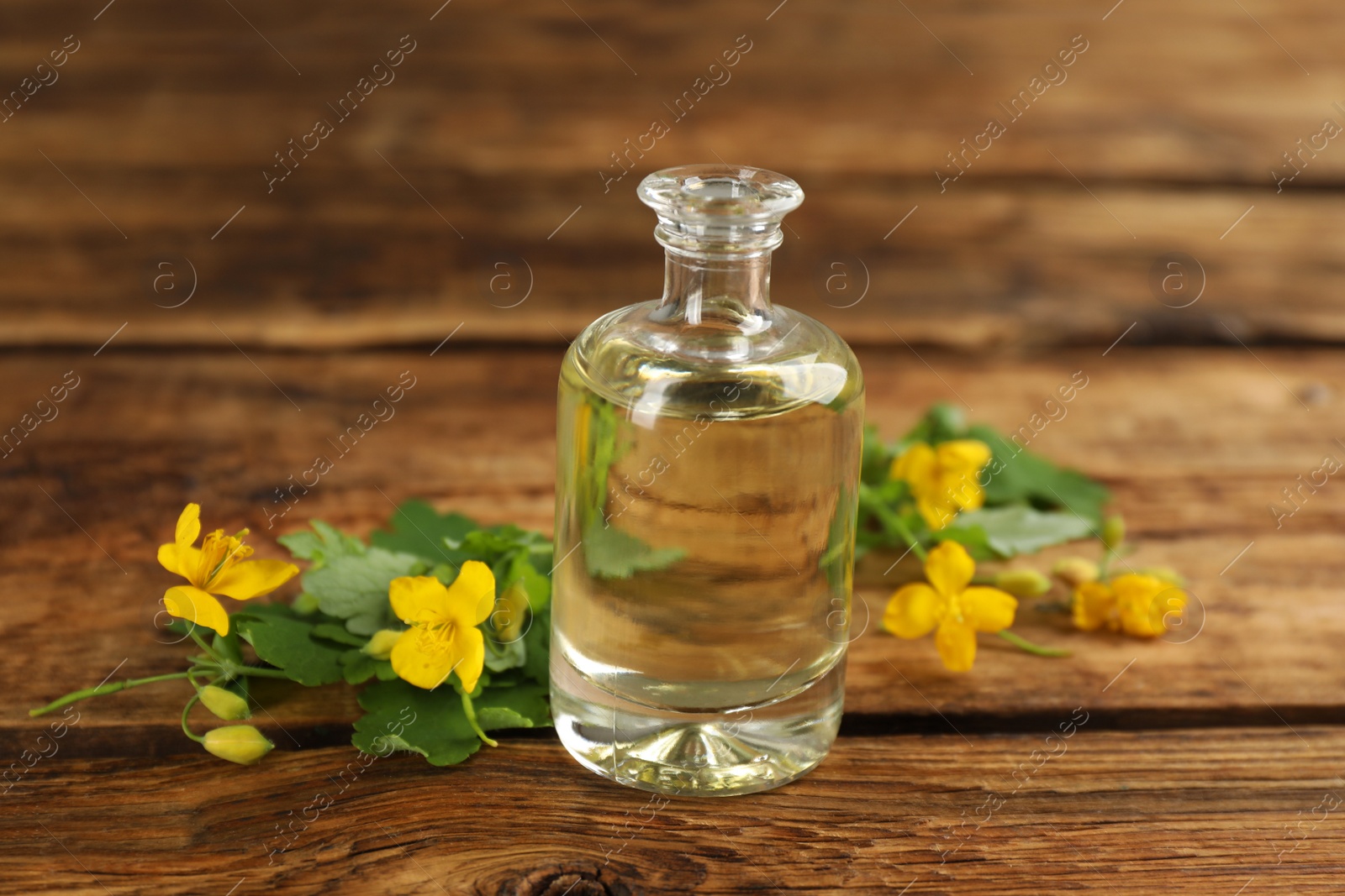 Photo of Bottle of natural celandine oil near flowers on wooden table, closeup