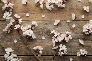 Flat lay composition with beautiful fresh spring flowers on wooden background