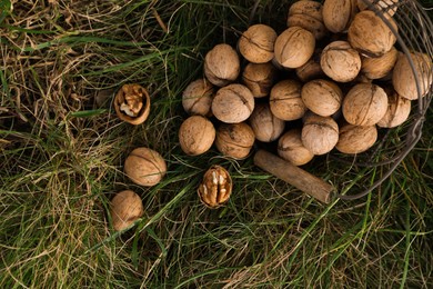 Photo of Overturned metal basket with walnuts on green grass outdoors, flat lay